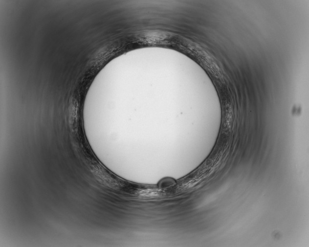 X0000103500461200810031632