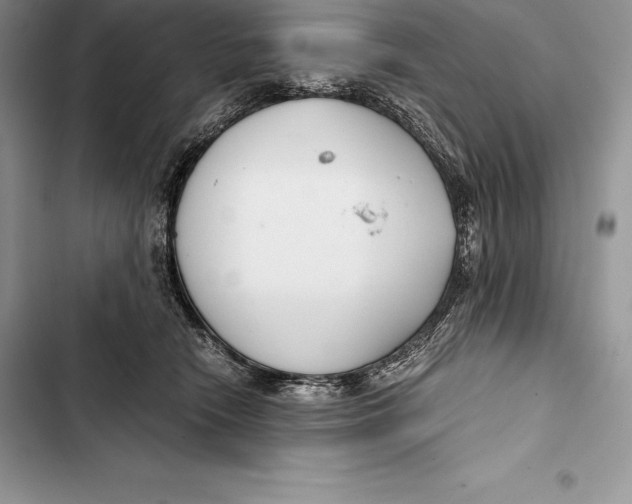 X0000103500466200810031632