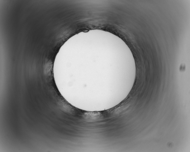 X0000103500480200810031632