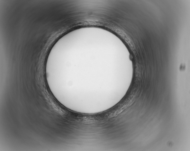 X0000103500481200810031631