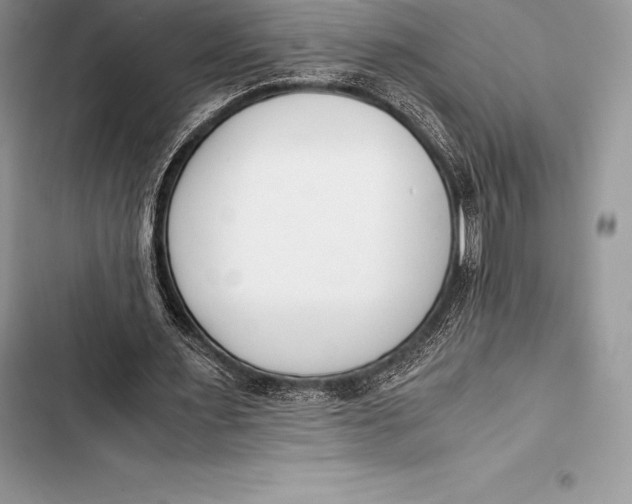 X0000103500483200810031631