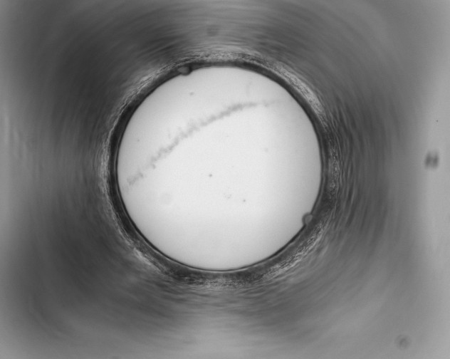 X0000103500485200810031631