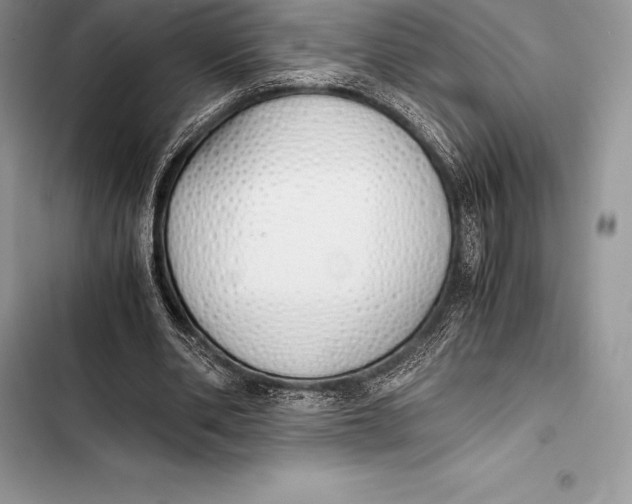 X0000103500486200810031631