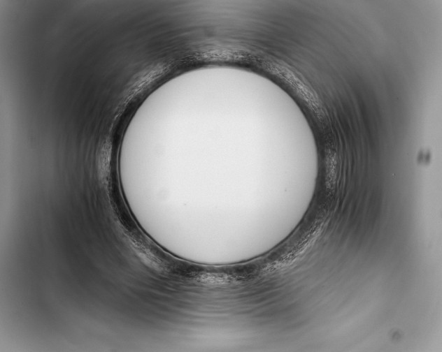 X0000103500490200810031631