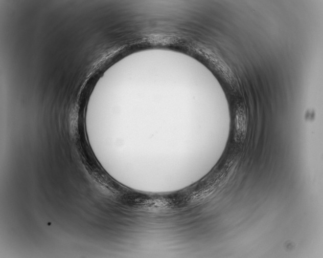 X0000103500492200810031631