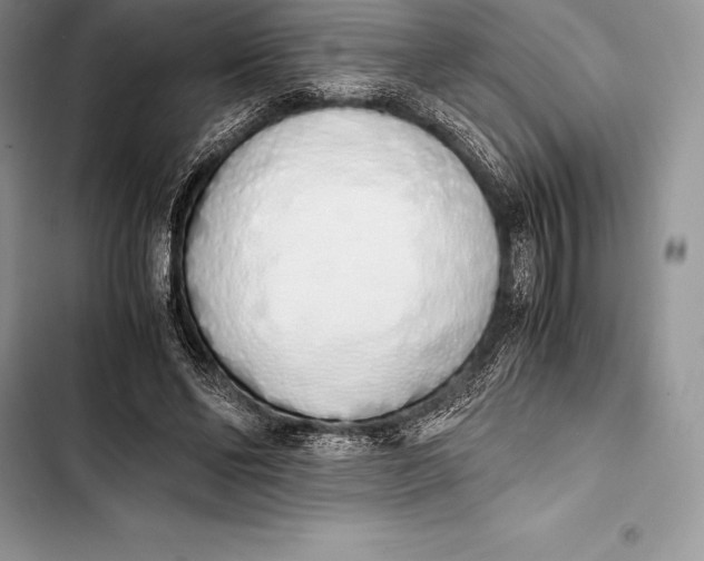 X0000103500494200810031631