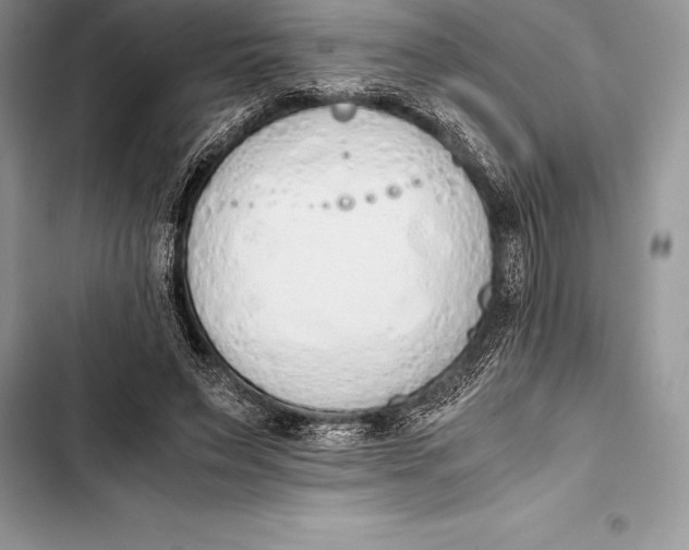 X0000103500495200810031631