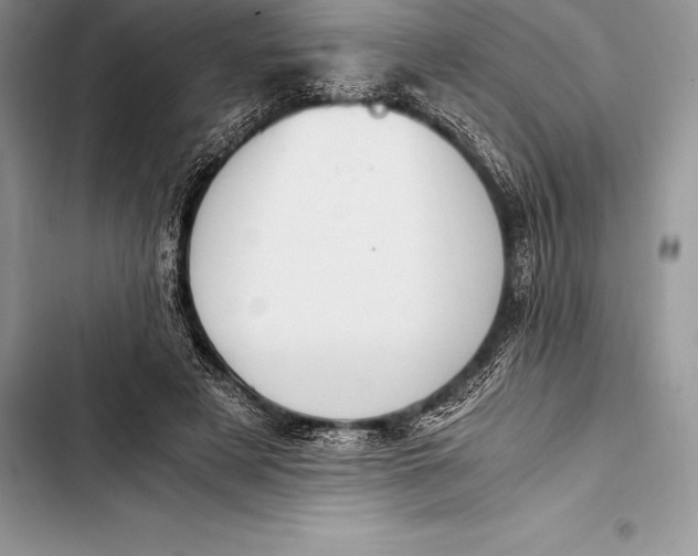 X0000103500497200810031631