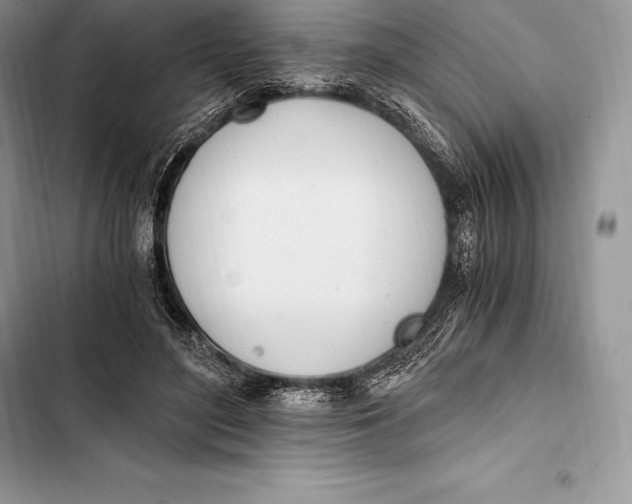 X0000103500500200810031631