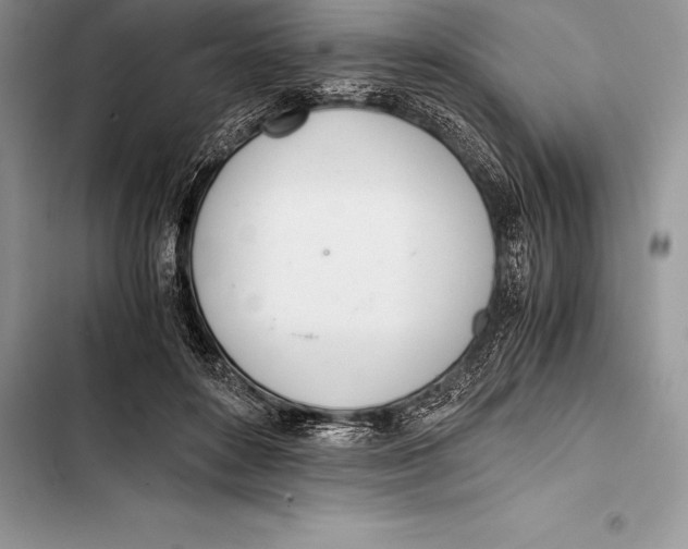 X0000103500504200810031631