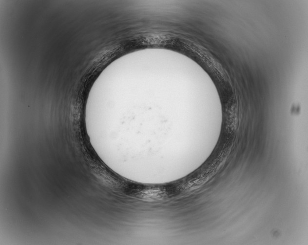 X0000103500505200810031631