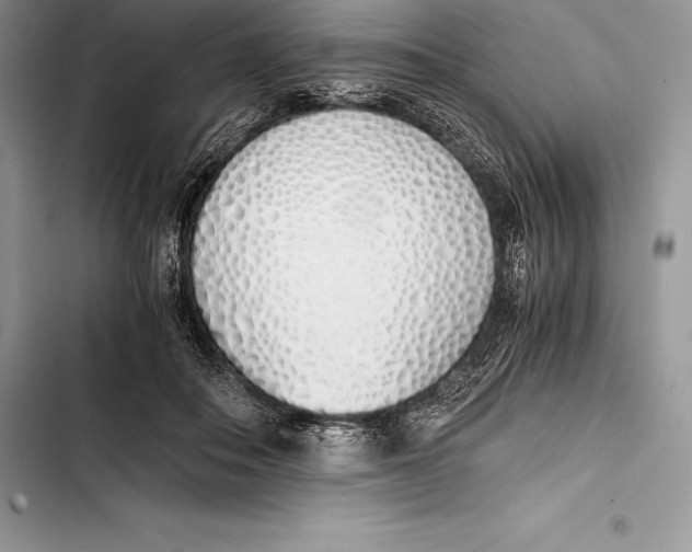 X0000103500506200810031631