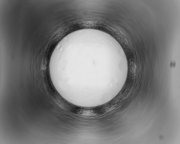 X0000103500507200810031631