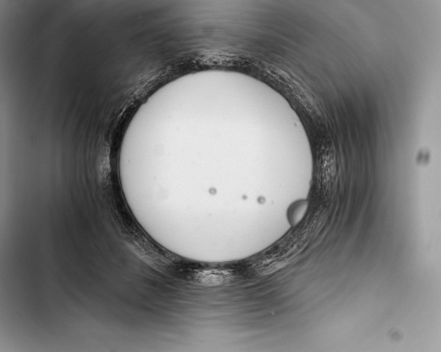 X0000103500508200810031631