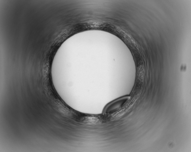 X0000103500509200810031631