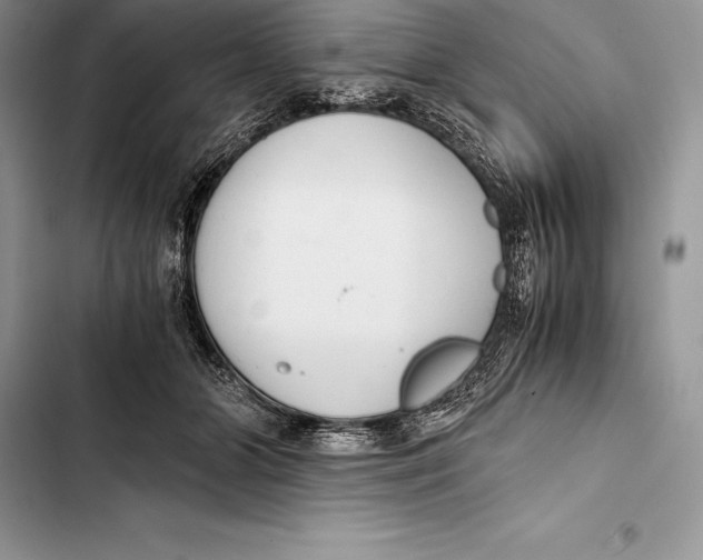 X0000103500510200810031631