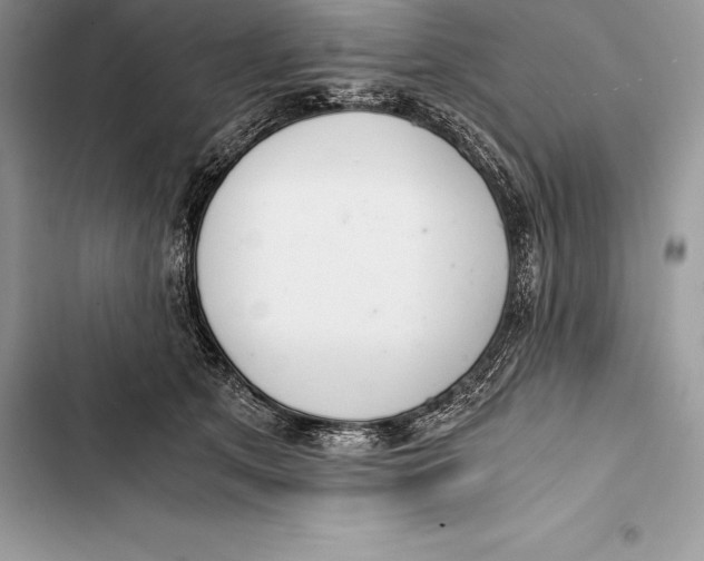 X0000103500513200810031631