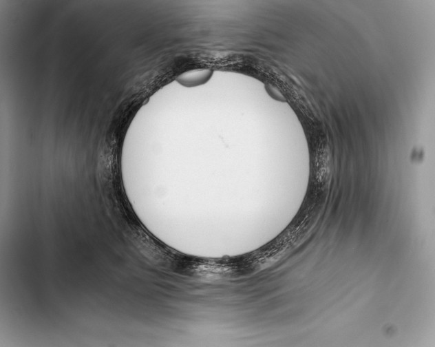 X0000103500515200810031631