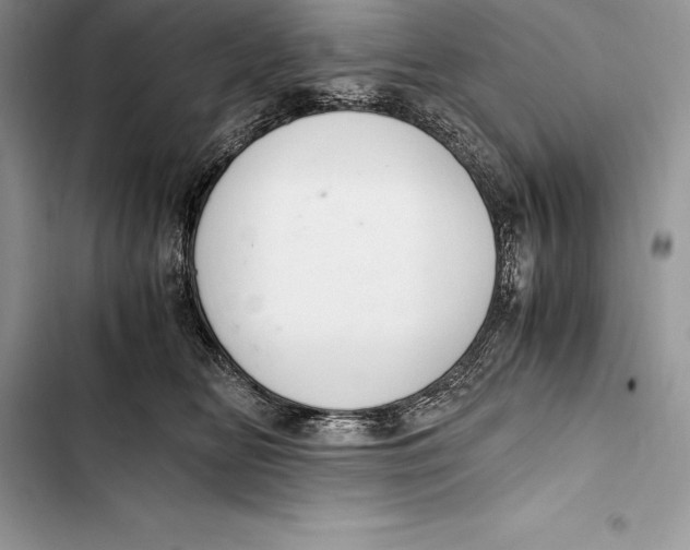 X0000103500518200810031631