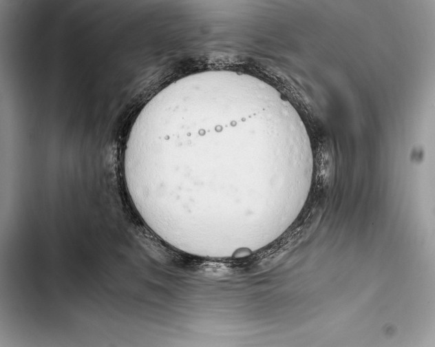 X0000103500519200810031631