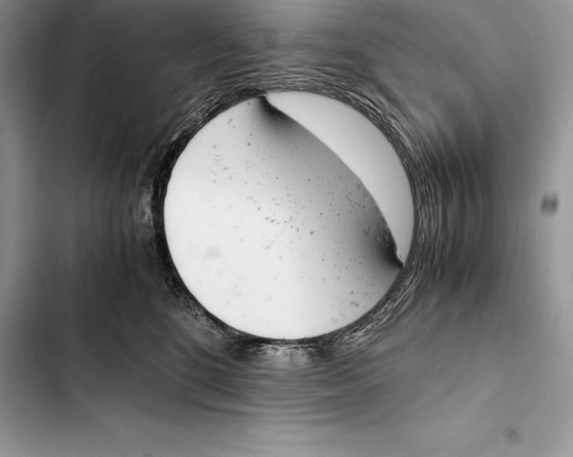 X0000103500520200810031631