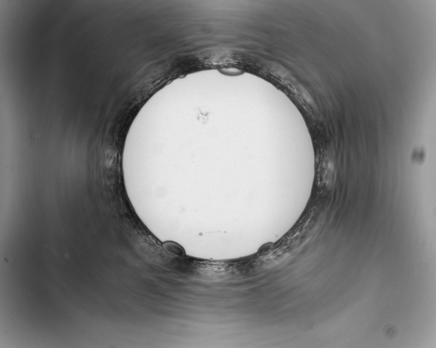 X0000103500521200810031631