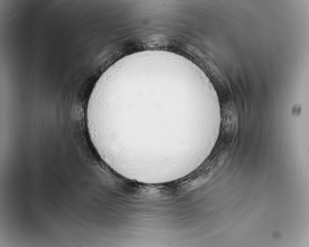 X0000103500523200810031631