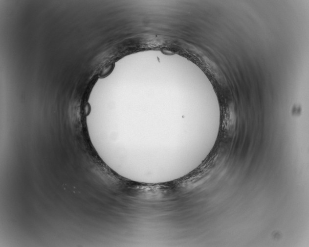 X0000103500524200810031631