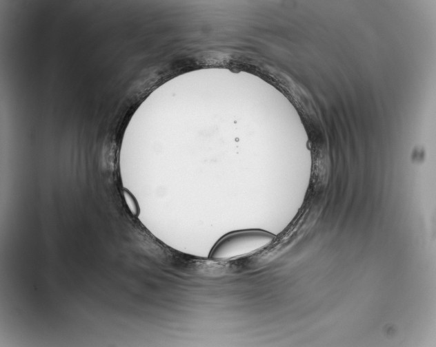 X0000103500525200810031631