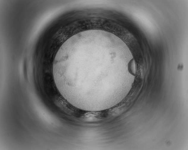 X0000103500526200810031631