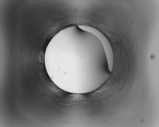 X0000103500528200810031631