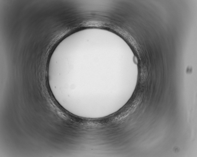 X0000103500529200810031630