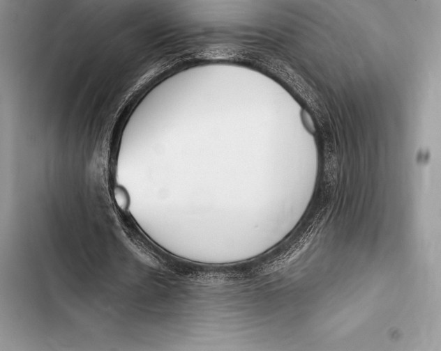 X0000103500530200810031630