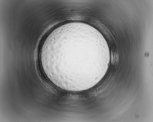 X0000103500531200810031630