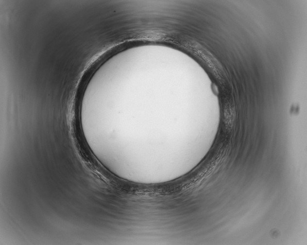 X0000103500532200810031630