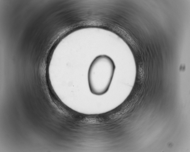 X0000103500534200810031630