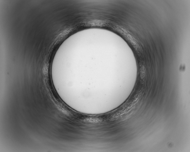 X0000103500537200810031630