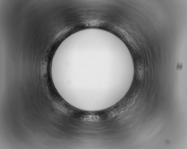 X0000103500543200810031630