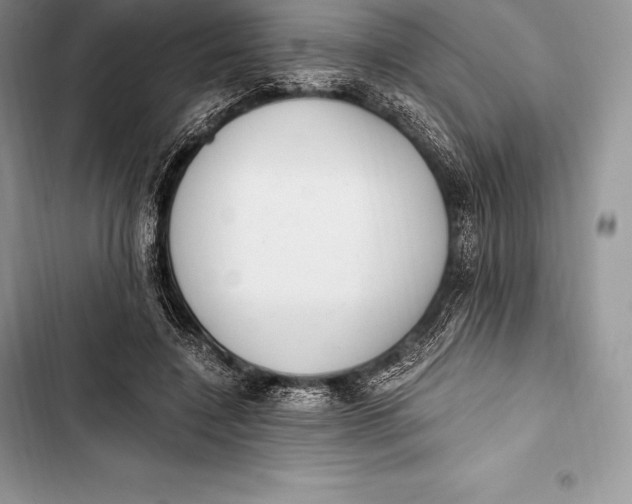 X0000103500548200810031630