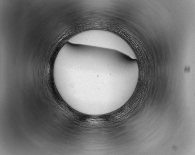 X0000103500556200810031630