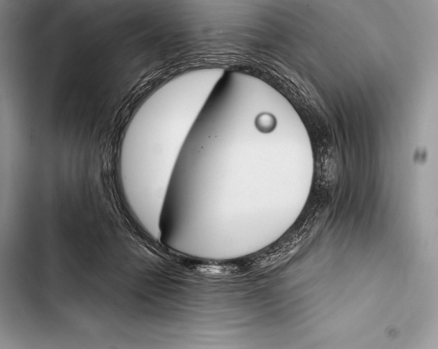 X0000103500558200810031630