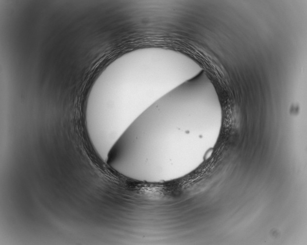 X0000103500560200810031630