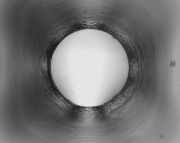 X0000103500562200810031630