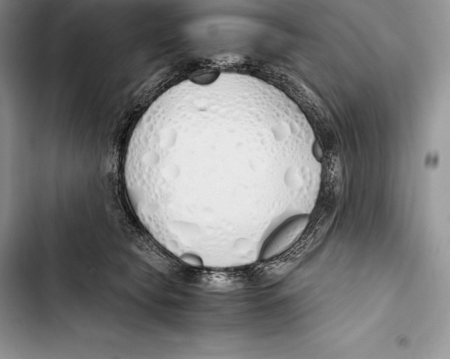 X0000103500565200810031630