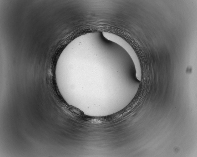 X0000103500566200810031630