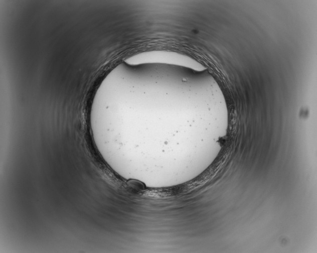 X0000103500568200810031630