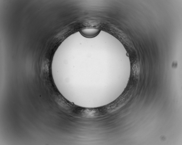 X0000103500570200810031630