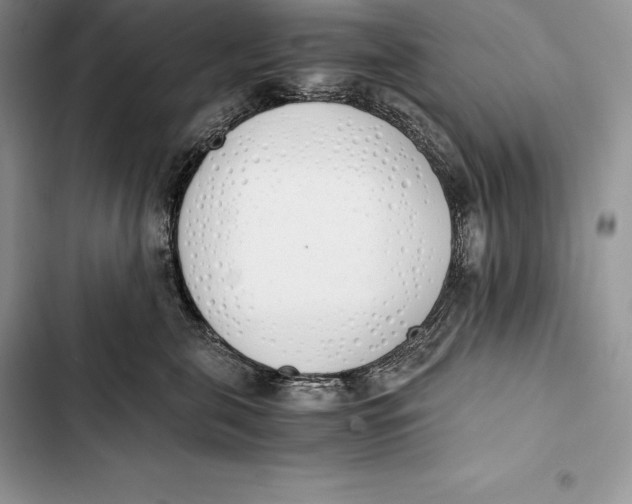 X0000103500571200810031631