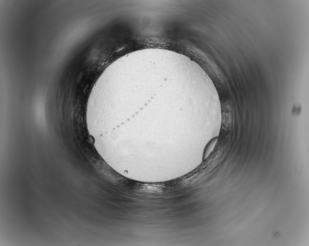 X0000103500573200810031631