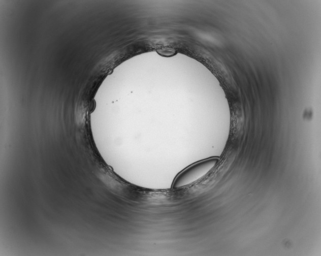 X0000103500574200810031631